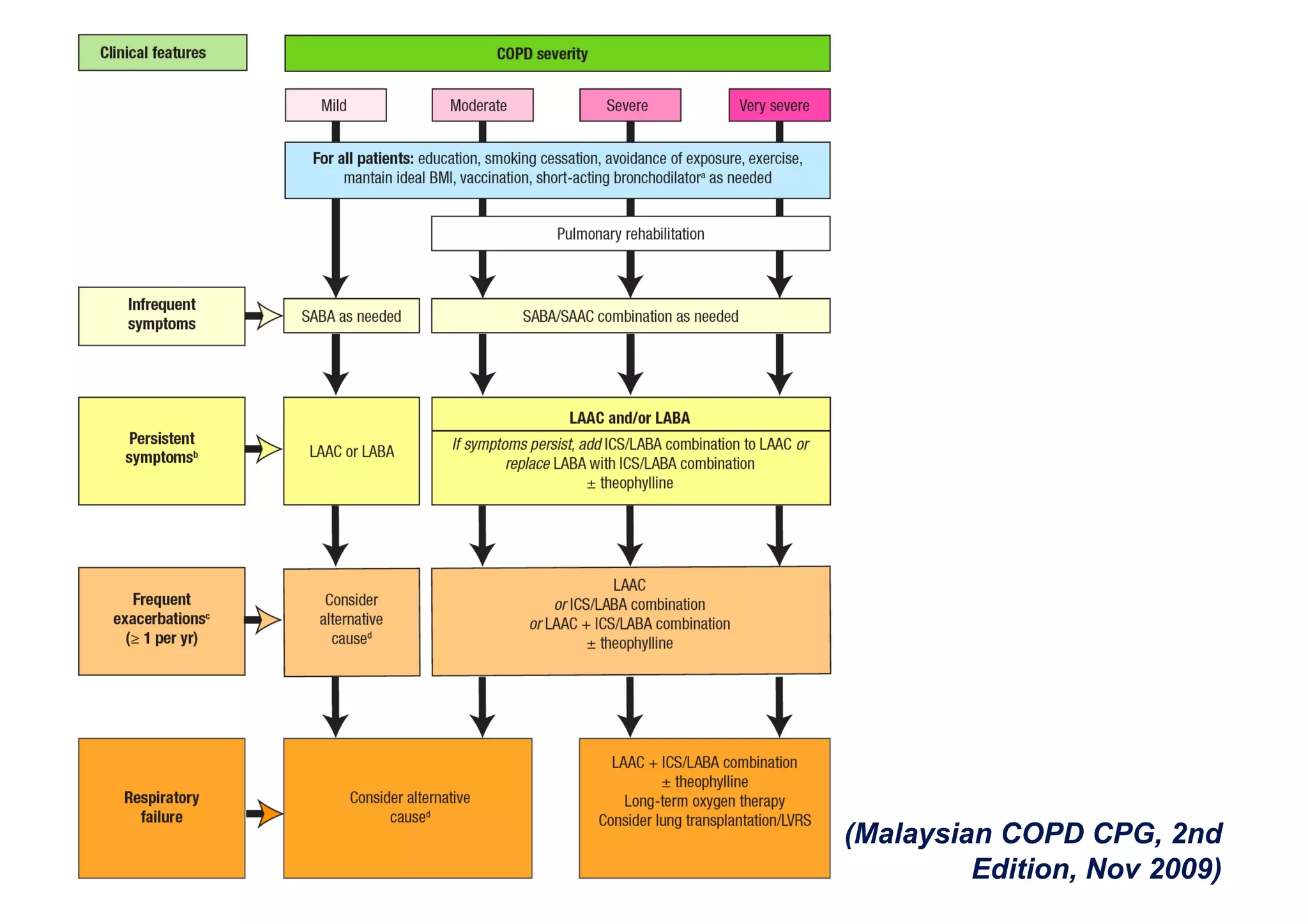 The 2009 COPD Malaysian Guidelines - What's Important From Emergency ...