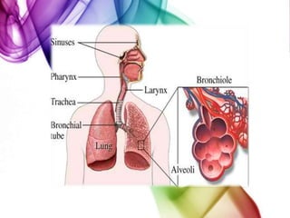 The walls between many of the air sacs are destroyed. 