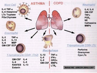 10Belvisi MG. AJRCCM 2004;1:207
 