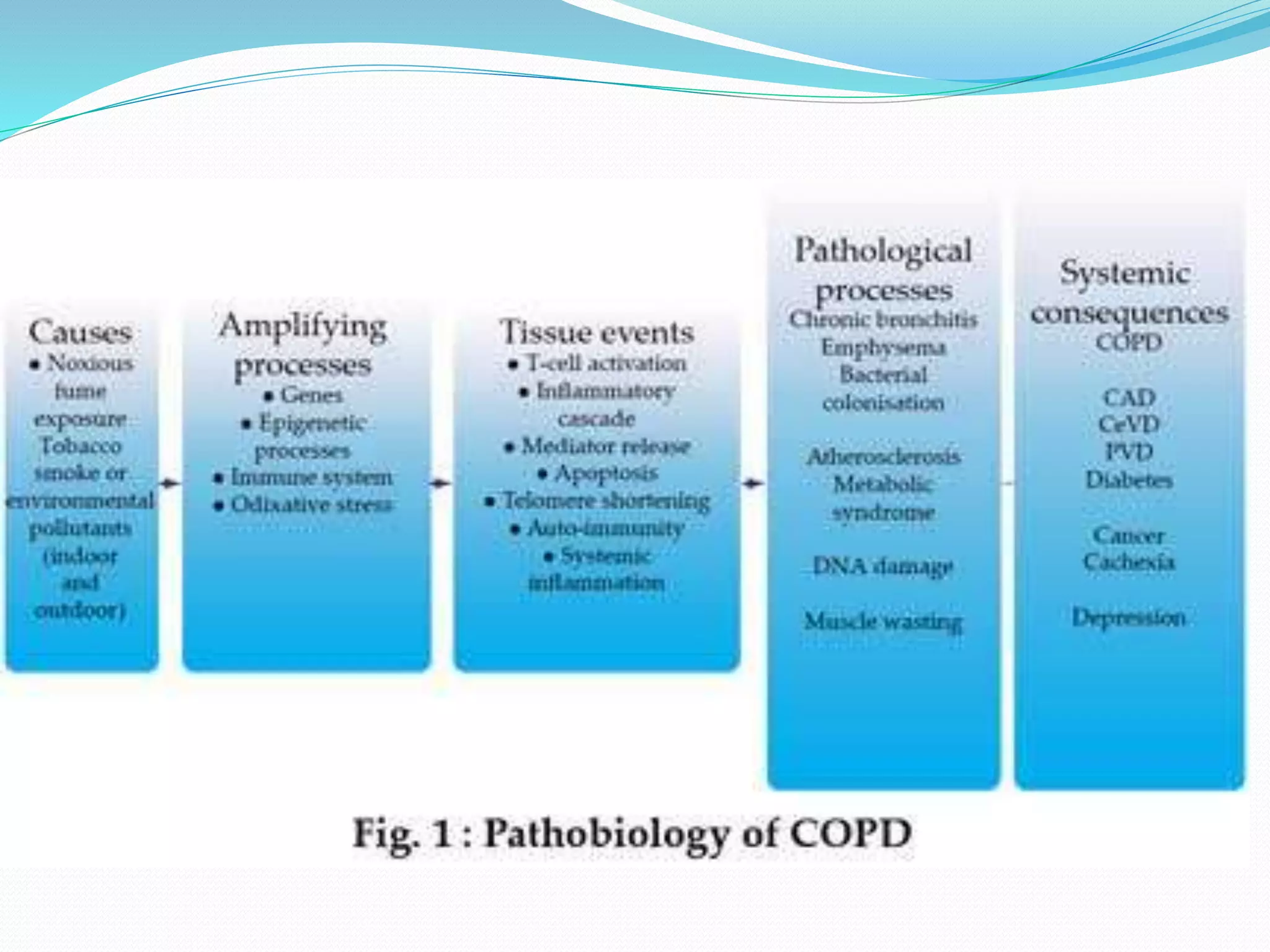 COPD systemic effects and comorbidities | PPTX