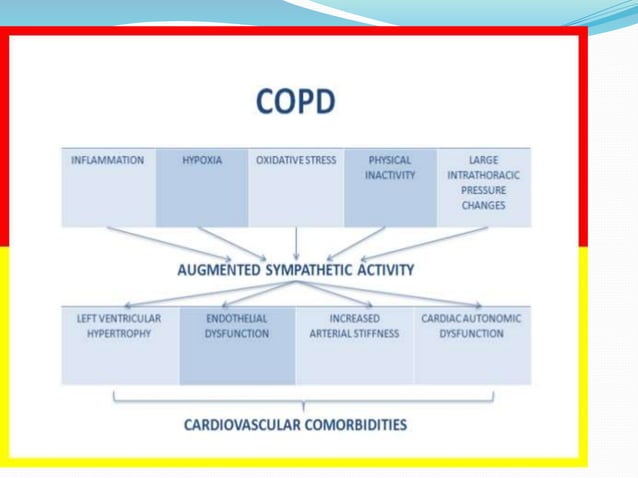 Systemic Effects COPD systemic effects and comorbidities | PPT