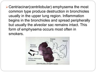 Centriacinar(centrilobular) emphysema the most
common type produce destruction in bronchioles
usually in the upper lung region. Inflammation
begins in the bronchioles and spread peripherally
but usually the alveolar sac remains intact. This
form of emphysema occurs most often in
smokers.
 