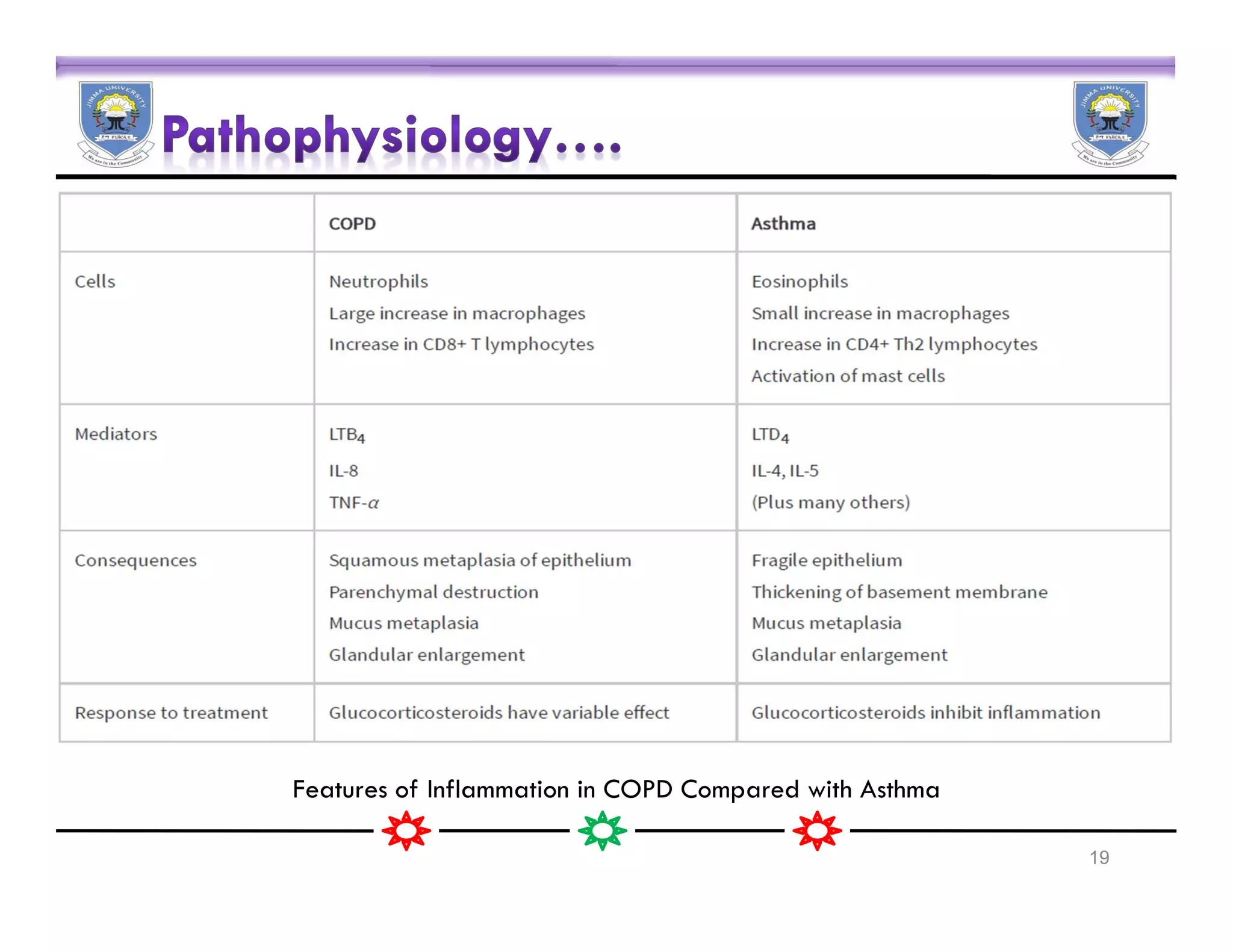 Pharmacotherapy of Chronic Obstructive Pulmonary Disease | PDF