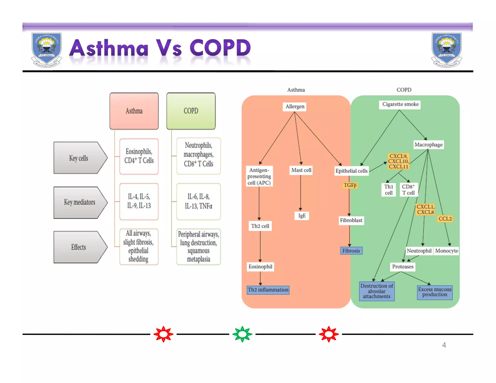 Pharmacotherapy of Chronic Obstructive Pulmonary Disease | PDF