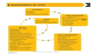 © 2020 Global Initiative for Chronic Obstructive Lung Disease
 