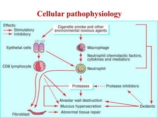 Cellular pathophysiology
 