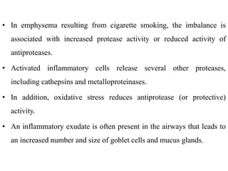 • In emphysema resulting from cigarette smoking, the imbalance is
associated with increased protease activity or reduced activity of
antiproteases.
• Activated inflammatory cells release several other proteases,
including cathepsins and metalloproteinases.
• In addition, oxidative stress reduces antiprotease (or protective)
activity.
• An inflammatory exudate is often present in the airways that leads to
an increased number and size of goblet cells and mucus glands.
 