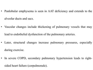 • Panlobular emphysema is seen in AAT deficiency and extends to the
alveolar ducts and sacs.
• Vascular changes include thickening of pulmonary vessels that may
lead to endothelial dysfunction of the pulmonary arteries.
• Later, structural changes increase pulmonary pressures, especially
during exercise.
• In severe COPD, secondary pulmonary hypertension leads to right-
sided heart failure (corpulmonale).
 