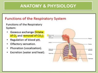 ANATOMY & PHYSIOLOGY
 