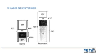 CHANGES IN LUNG VOLUMES
 