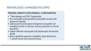 PATHOLOGIC CHANGES IN COPD
 