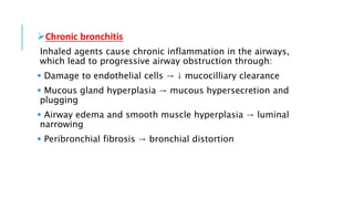 Chronic bronchitis
Inhaled agents cause chronic inflammation in the airways,
which lead to progressive airway obstruction through:
 Damage to endothelial cells → ↓ mucocilliary clearance
 Mucous gland hyperplasia → mucous hypersecretion and
plugging
 Airway edema and smooth muscle hyperplasia → luminal
narrowing
 Peribronchial fibrosis → bronchial distortion
 