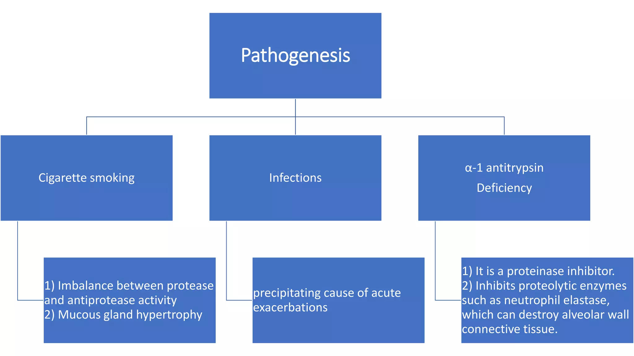 Pathogenesis
Cigarette smoking
1) Imbalance between protease
and antiprotease activity
2) Mucous gland hypertrophy
Infections
precipitating cause of acute
exacerbations
α-1 antitrypsin
Deficiency
1) It is a proteinase inhibitor.
2) Inhibits proteolytic enzymes
such as neutrophil elastase,
which can destroy alveolar wall
connective tissue.
 