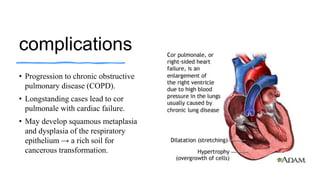 complications
• Progression to chronic obstructive
pulmonary disease (COPD).
• Longstanding cases lead to cor
pulmonale with cardiac failure.
• May develop squamous metaplasia
and dysplasia of the respiratory
epithelium → a rich soil for
cancerous transformation.
 