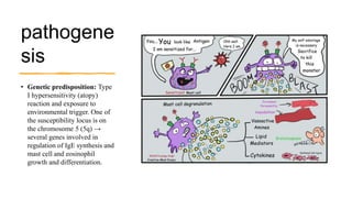 pathogene
sis
• Genetic predisposition: Type
I hypersensitivity (atopy)
reaction and exposure to
environmental trigger. One of
the susceptibility locus is on
the chromosome 5 (5q) →
several genes involved in
regulation of IgE synthesis and
mast cell and eosinophil
growth and differentiation.
 