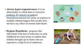 • Airway hyper-responsiveness: It is an
abnormality in which there is excessive
tendency for airways to contract
(bronchoconstrictor) too easily in response to
multiple inhaled triggers that usually does
not have any effect on normal individuals.
• Hygiene Hypothesis: proposes that
individuals with lack of infections in early
childhood are more prone to asthma than
children brought up on farms who are
exposed to a high level of endotoxin.
 