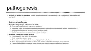 pathogenesis
• Irritation by inhaled air pollutants: Irritants cause inflammation → infiltration by CD8+ T lymphocytes, macrophages and
neutrophils.
• Hypersecretion of mucus:
• Hyperplasia/Hypertrophy of Submucosal Glands:
• Occurs in the larger airways such as the trachea and bronchi.
• Triggered by inhaled environmental irritants and proteases released by neutrophils, including elastase, cathepsin, histamine, and IL-13.
• Results in the enlargement and increased activity of submucosal glands.
• Leads to hypersecretion of mucus, contributing to airway obstruction.
• Increase of Goblet Cells in Small Airways:
• Particularly affects small bronchi and bronchioles.
• Goblet cells produce excessive mucus.
• Excessive mucus production can lead to mucus plugging of the bronchial lumen.
• Mucus plugging triggers inflammation and fibrosis of the bronchial wall, further contributing to airway obstruction.
• Chronic inflammation and accompanying fibrosis involving small airways can produce chronic airway obstruction.
 