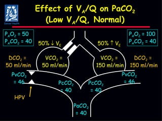 Effect of V A /Q on PaCO 2 (Low V A /Q, Normal) PcCO 2 = 40 PaCO 2 = 40 PcCO 2 = 40 PvCO 2 = 46 DCO 2  =  50 ml/min DCO 2  =  150 ml/min HPV 50%    V E VCO 2  =  50 ml/min 50%    V E VCO 2  =  150 ml/min PvCO 2 = 46 P A O 2  = 50 P A CO 2  = 40 P A O 2  = 100 P A CO 2  = 40 Denver Health 