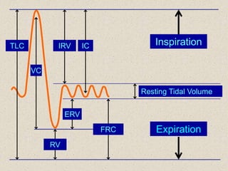 Inspiration
Expiration
ERV
IC
VC
IRV
Resting Tidal Volume
RV
FRC
TLC
 