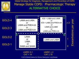 Laba Copd Chronic Obstructive Lung Disease | PPTX