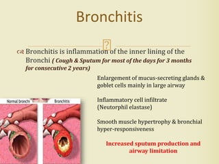  Bronchitis is inflammation of the inner lining of the
Bronchi ( Cough & Sputum for most of the days for 3 months
for consecutive 2 years)
Bronchitis
Enlargement of mucus-secreting glands &
goblet cells mainly in large airway
Inflammatory cell infiltrate
(Neutorphil elastase)
Smooth muscle hypertrophy & bronchial
hyper-responsiveness
Increased sputum production and
airway limitation
 