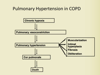Chronic hypoxia
Pulmonary vasoconstriction
Muscularization
Intimal
hyperplasia
Fibrosis
Obliteration
Pulmonary hypertension
Cor pulmonale
Death
Pulmonary Hypertension in COPD
 