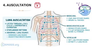 4. AUSCULTATION
 