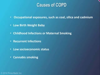 • Occupational exposures, such as coal, silica and cadmium
• Low Birth Weight Baby
• Childhood Infections or Maternal Smoking
• Recurrent Infections
• Low socioeconomic status
• Cannabis smoking
 