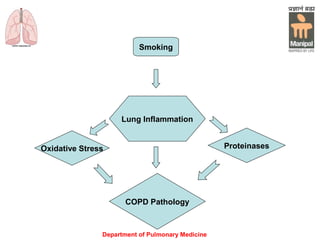 Department of Pulmonary Medicine
Smoking
Lung Inflammation
Oxidative Stress
COPD Pathology
Proteinases
 