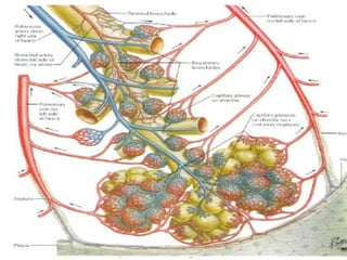 Department of Pulmonary Medicine
 