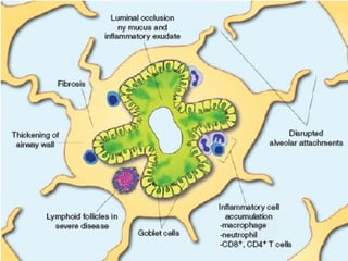 Department of Pulmonary Medicine
 