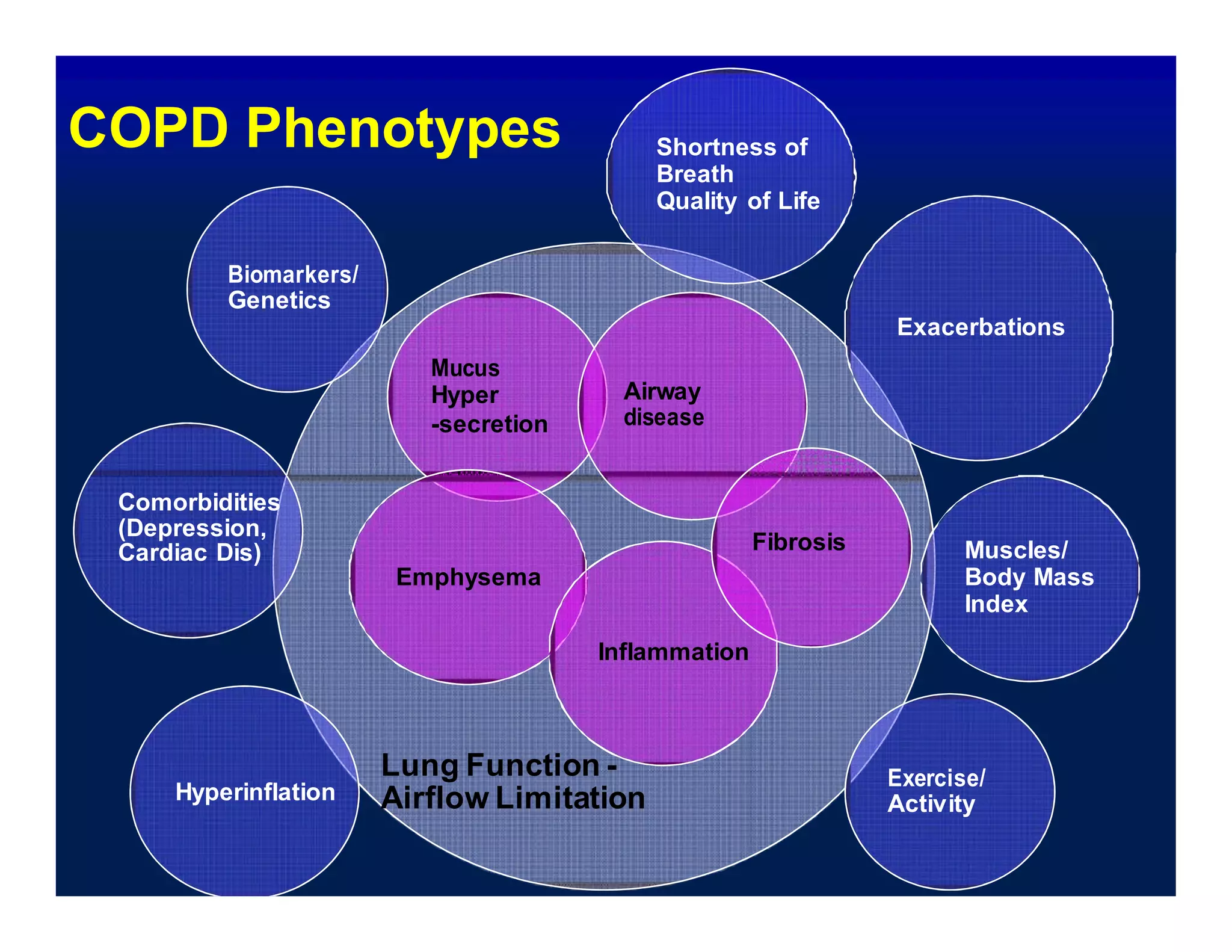 COPD Phenotypes Shortness of
Breath
Quality of Life
Biomarkers/
Genetics
Mucus
Hyper
-secretion
Airway
disease
Exacerbations
Comorbidities
(Depression,
Cardiac Dis) Fibrosis
Emphysema
Inflammation
Muscles/
Body Mass
Index
Hyperinflation
Lung Function -
Airflow Limitation
Exercise/
Activity
 
