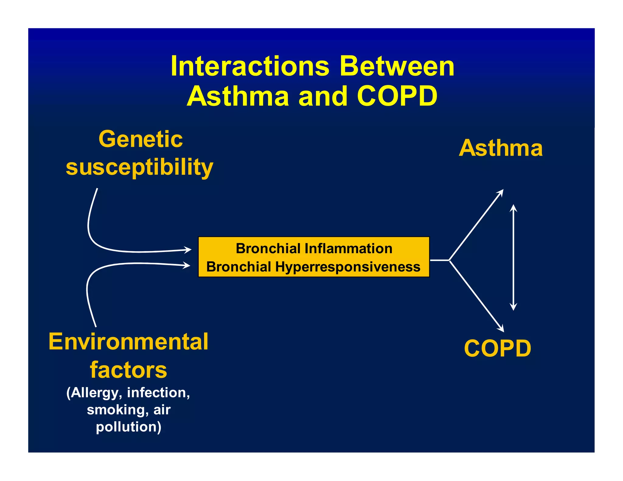 Bronchial Inflammation
Bronchial Hyperresponsiveness
Interactions Between
Asthma and COPD
Genetic
susceptibility
Asthma
Environmental
factors
(Allergy, infection,
smoking, air
pollution)
COPD
 
