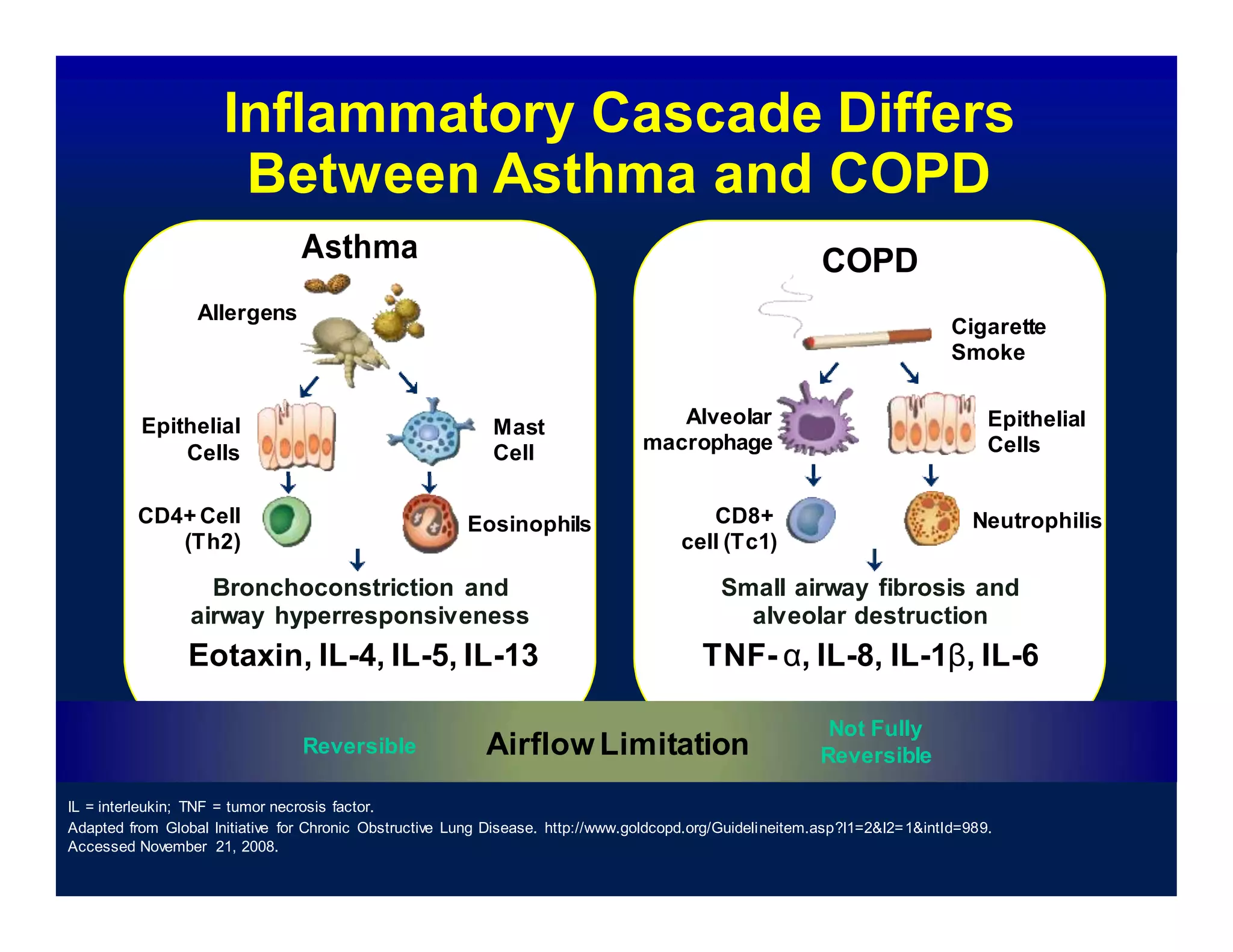 Inflammatory Cascade Differs
Between Asthma and COPD
Allergens
Epithelial
Cells
Asthma
Mast
Cell
Alveolar
macrophage
COPD
Cigarette
Smoke
Epithelial
Cells
CD4+ Cell
(Th2)
Eosinophils CD8+
cell (Tc1)
Neutrophilis
Bronchoconstriction and
airway hyperresponsiveness
Eotaxin, IL-4, IL-5, IL-13
Small airway fibrosis and
alveolar destruction
TNF- α, IL-8, IL-1β, IL-6
Reversible Airflow Limitation
Not Fully
Reversible
IL = interleukin; TNF = tumor necrosis factor.
Adapted from Global Initiative for Chronic Obstructive Lung Disease. http://www.goldcopd.org/Guidelineitem.asp?l1=2&l2=1&intId=989.
Accessed November 21, 2008.
 