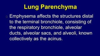 Lung Parenchyma
Emphysema affects the structures distal
to the terminal bronchiole, consisting of
the respiratory bronchiole, alveolar
ducts, alveolar sacs, and alveoli, known
collectively as the acinus.
 