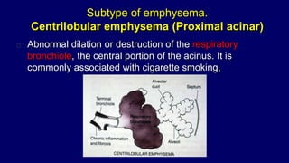 Panacinar emphysema
Refers to enlargement or destruction of all parts of the
acinus.
Seen in alpha-1 antitrypsin deficienc...