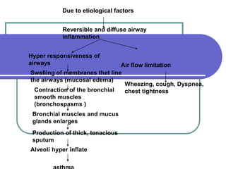 Due to etiological factors
Reversible and diffuse airway
inflammation
Hyper responsiveness of
airways Air flow limitation
Swelling of membranes that line
the airways (mucosal edema)
Contraction of the bronchial
smooth muscles
(bronchospasms )
Bronchial muscles and mucus
glands enlarges
Production of thick, tenacious
sputum
Alveoli hyper inflate
Wheezing, cough, Dyspnea,
chest tightness
 