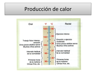 Producción de calor
 