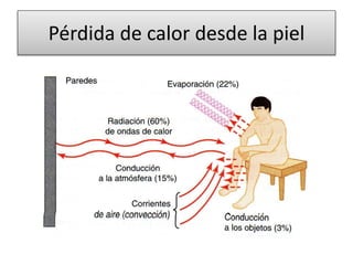 Pérdida de calor desde la piel
 