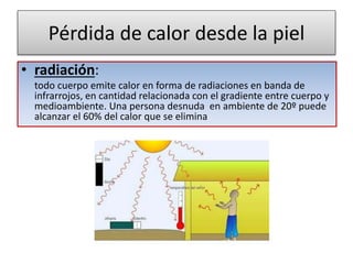 Pérdida de calor desde la piel
• radiación:
todo cuerpo emite calor en forma de radiaciones en banda de
infrarrojos, en cantidad relacionada con el gradiente entre cuerpo y
medioambiente. Una persona desnuda en ambiente de 20º puede
alcanzar el 60% del calor que se elimina
 