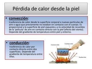 Pérdida de calor desde la piel
• convección:
trasferencia de calor desde la superficie corporal a nuevas partículas de
aire o agua que previamente no estaban en contacto con el cuerpo. Es
proporcional a la superficie de piel expuesta y a la velocidad de recambio
de la ‘película’ de aire en contacto directo con la piel (efecto del viento).
Depende del gradiente de temperatura entre piel y entorno.
• conducción:
trasferencia de calor por
contacto directo entre dos
superficies. Depende del
gradiente de temperatura entre
ellas.
 