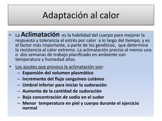 Adaptación al calor
• La Aclimatación es la habilidad del cuerpo para mejorar la
respuesta y tolerancia al estrés por calor a lo largo del tiempo, y es
el factor más importante, a parte de los genéticos, que determina
la resistencia al calor extremo. La aclimatación precisa al menos una
o dos semanas de trabajo planificado en ambiente con
temperatura y humedad altas.
• Los ajustes que provoca la aclimatación son:
– Expansión del volumen plasmático
– Incremento del flujo sanguíneo cutáneo
– Umbral inferior para iniciar la sudoración
– Aumento de la cantidad de sudoración
– Baja concentración de sodio en el sudor
– Menor temperatura en piel y cuerpo durante el ejercicio
normal
 