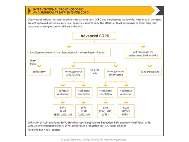 newer updates in COPD: overview 2022.pptx