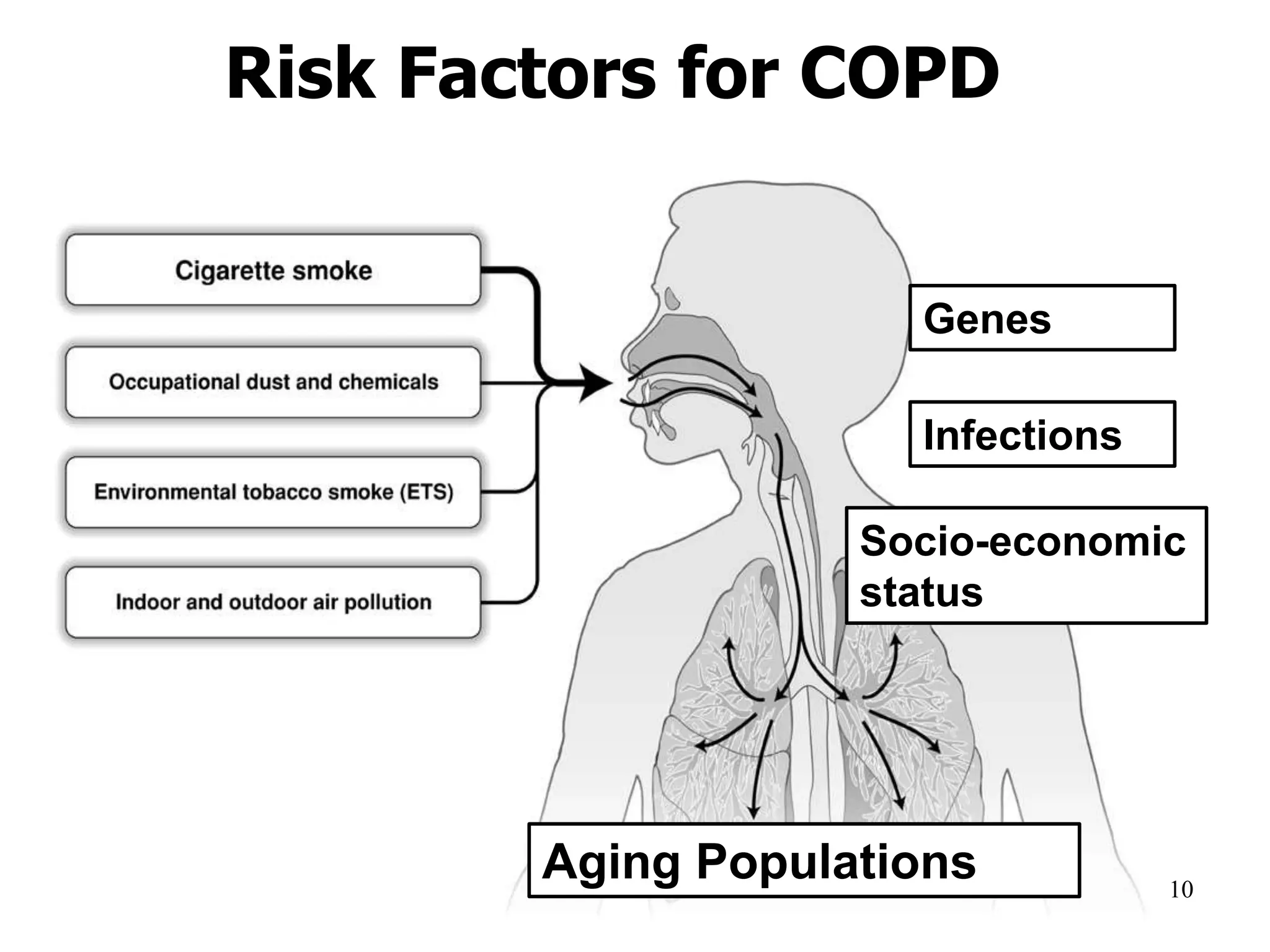 Risk Factors for COPD
Genes
Infections
Socio-economic
status
Aging Populations
© 2014 Global Initiative for Chronic Obstructive Lung Disease
10
 