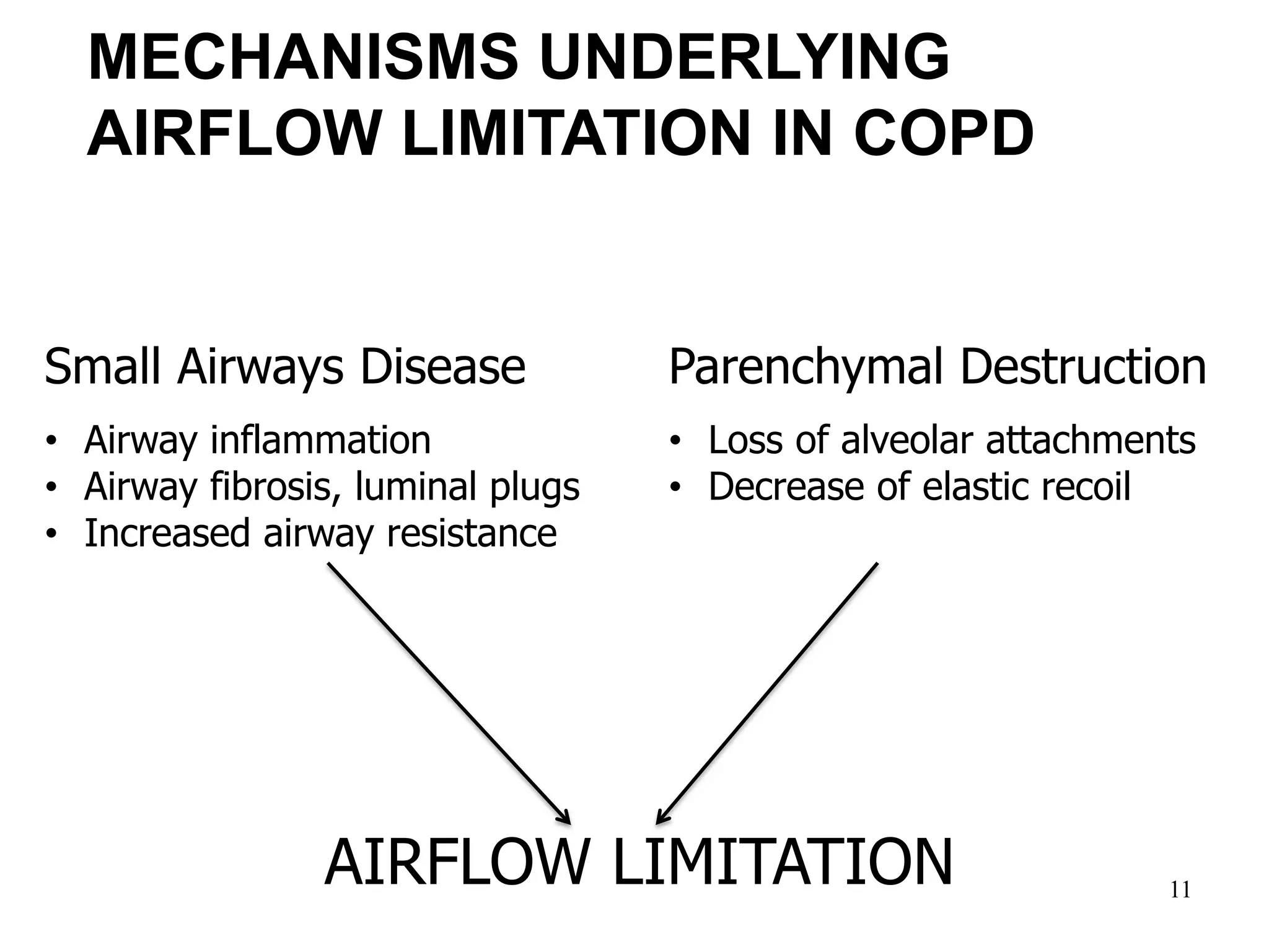 MECHANISMS UNDERLYING
AIRFLOW LIMITATION IN COPD
Small Airways Disease
• Airway inflammation
• Airway fibrosis, luminal plugs
• Increased airway resistance
Parenchymal Destruction
• Loss of alveolar attachments
• Decrease of elastic recoil
AIRFLOW LIMITATION
© 2014 Global Initiative for Chronic Obstructive Lung Disease
11
 
