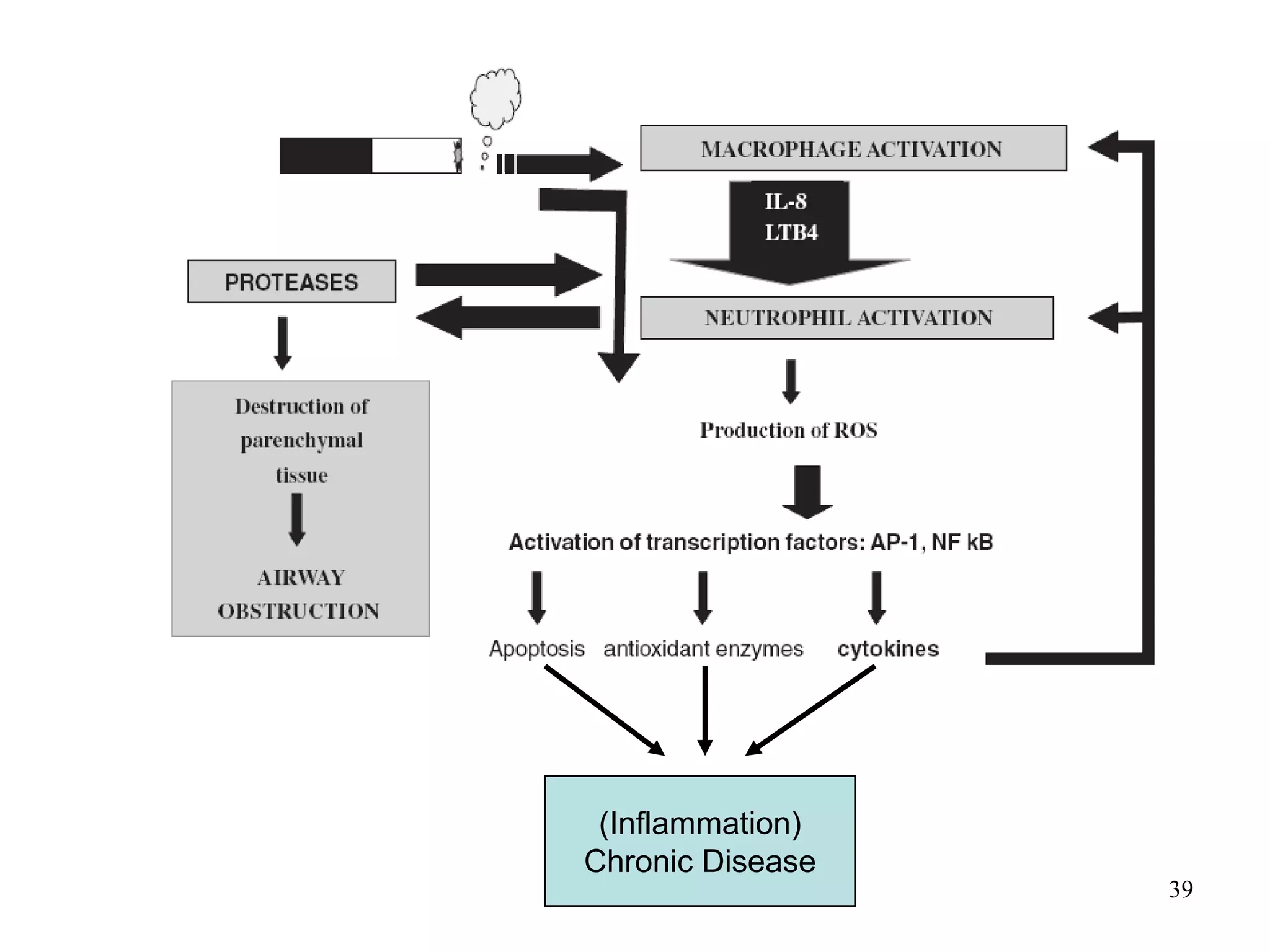 (Inflammation)
Chronic Disease
39
 