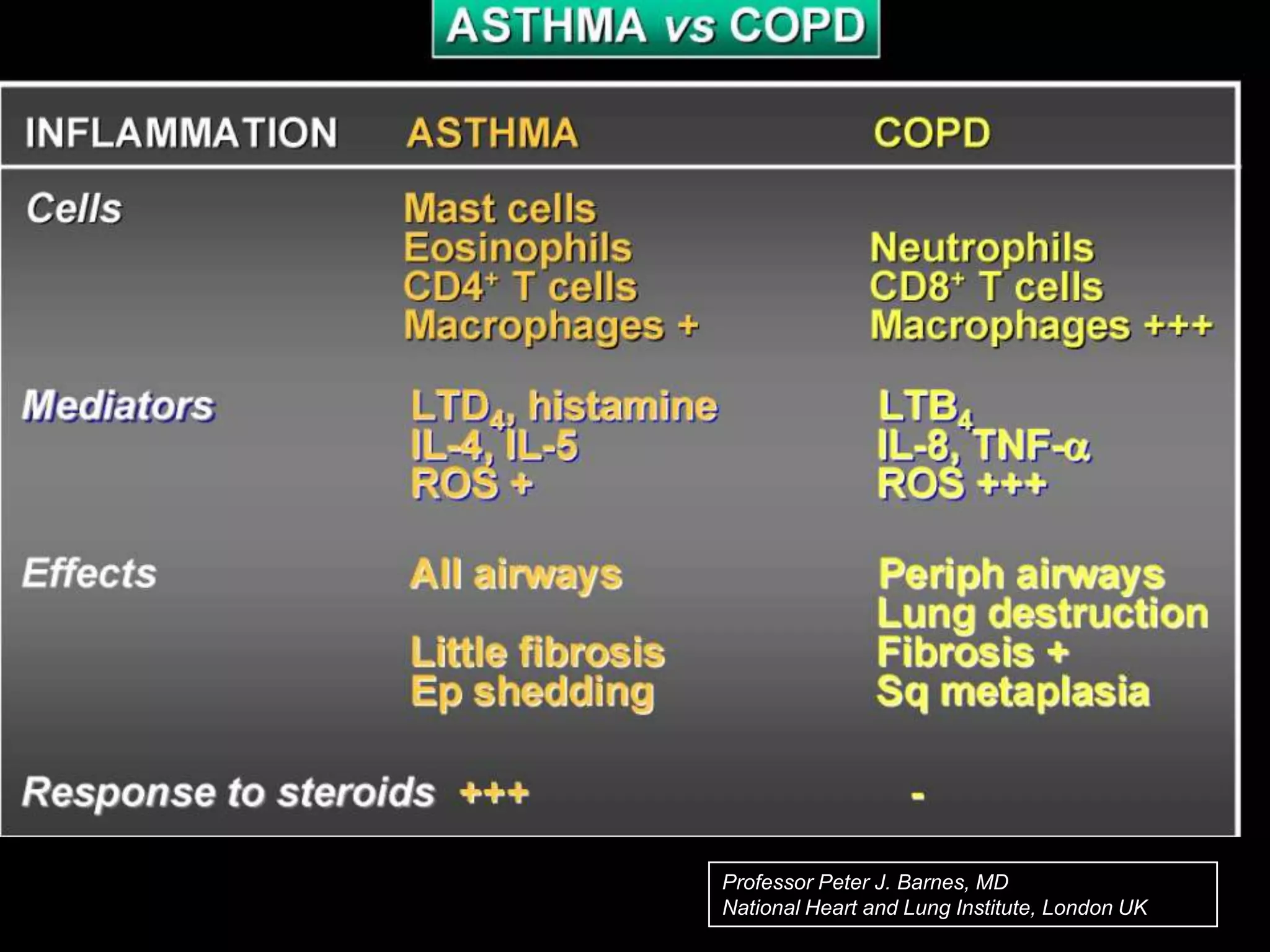 Professor Peter J. Barnes, MD
National Heart and Lung Institute, London UK
42
 