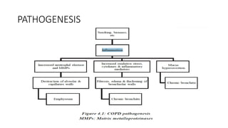 PATHOGENESIS
 