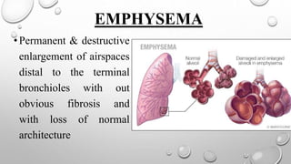 EMPHYSEMA
•Permanent & destructive
enlargement of airspaces
distal to the terminal
bronchioles with out
obvious fibrosis and
with loss of normal
architecture
 