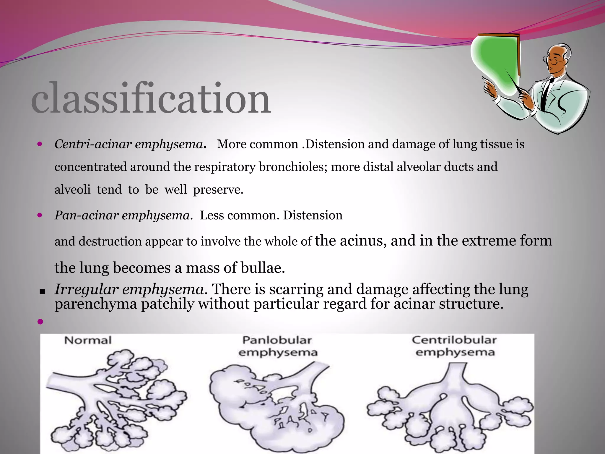 classification
 Centri-acinar emphysema. More common .Distension and damage of lung tissue is
concentrated around the respiratory bronchioles; more distal alveolar ducts and
alveoli tend to be well preserve.
 Pan-acinar emphysema. Less common. Distension
and destruction appear to involve the whole of the acinus, and in the extreme form
the lung becomes a mass of bullae.
■ Irregular emphysema. There is scarring and damage affecting the lung
parenchyma patchily without particular regard for acinar structure.

 